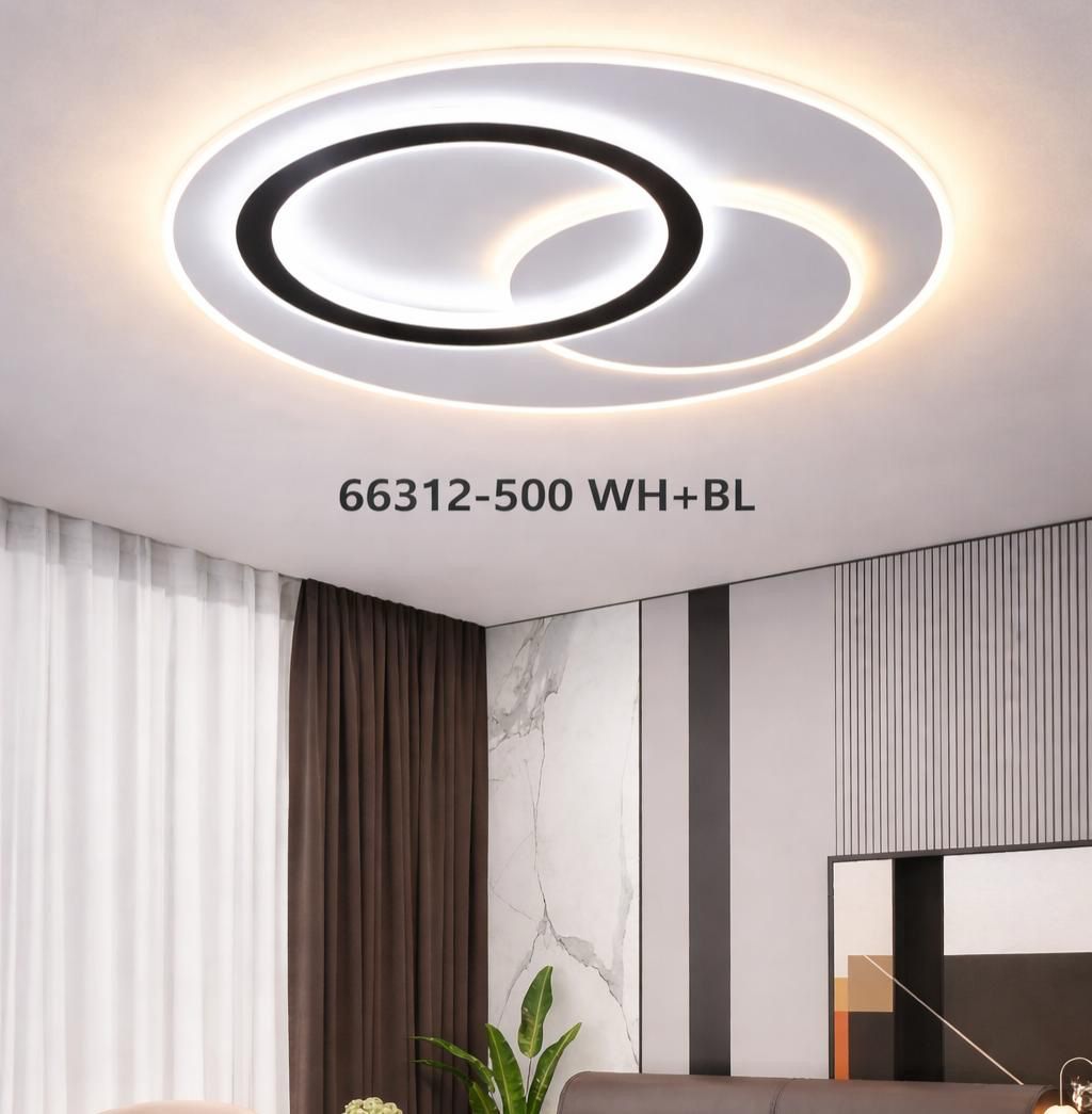 Dual-ring black and white LED ceiling light